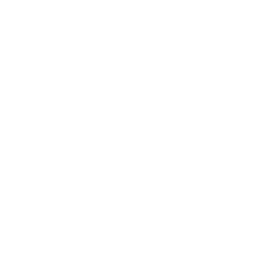 growth icon