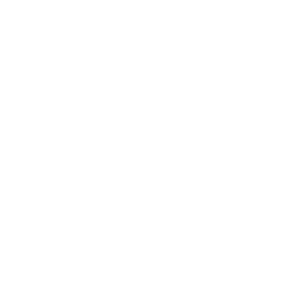 growth icon